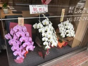 【2019.11/23オープン】堺市北区・新金岡に『しんかな不動産』がオープンしています！！：