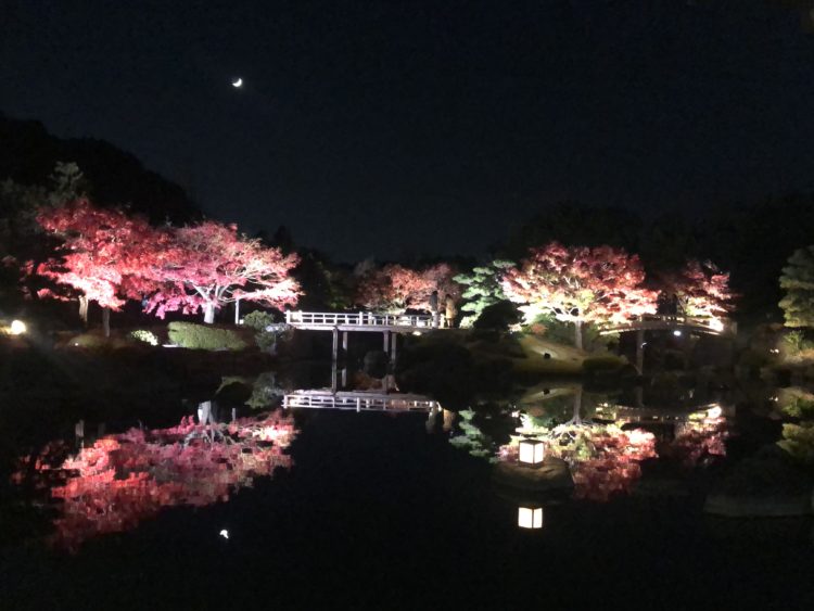 紅葉の水鏡を堪能 堺区 大仙公園 日本庭園 秋季夜間特別開園 紅葉の宴 に行ってきました 今日の紅葉フォト さかにゅー