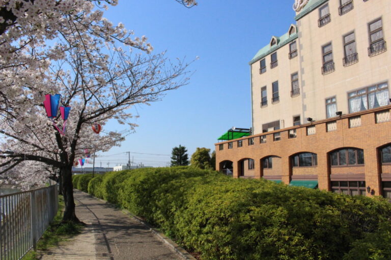 パパヘミングウェイ