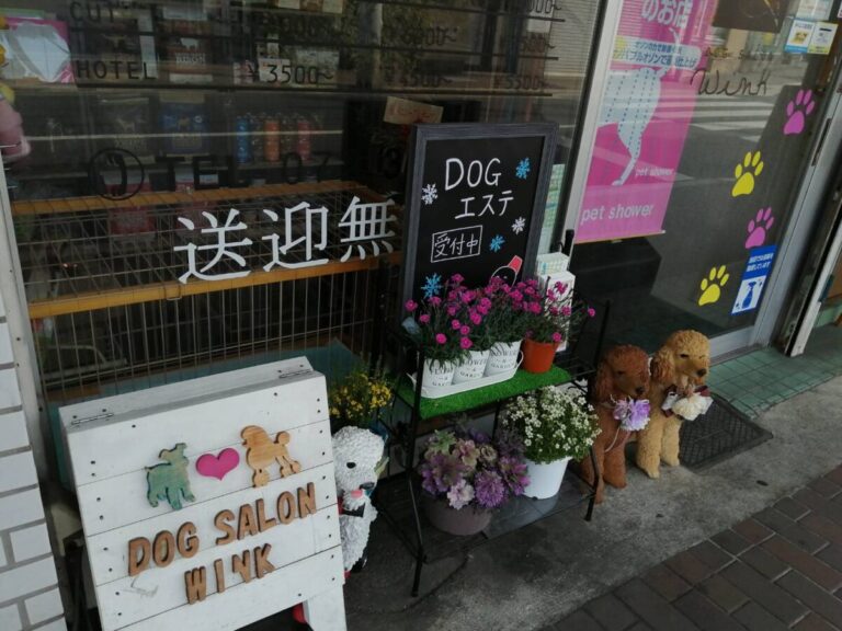 21 4 9リニューアル予定 堺市東区 ペットとの暮らしをもっと快適に Dog Salon Wink ドッグサロン ウインク がいよいよリニューアルオープンされます さかにゅー