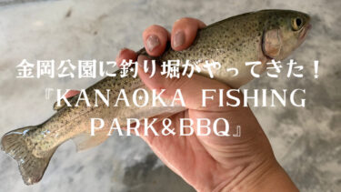 【大注目】堺に釣り堀がやってきた！金岡公園『KANAOKA FISHING PARK&BBQ』【大人気】：