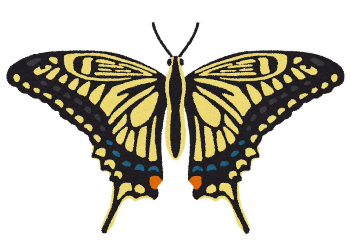 21 8 7 土 開催 堺区 堺市都市緑化センター 夏休みにじっくり取り組みたい講習会 昆虫の標本作り 開催 受付は7 7 水 から さかにゅー