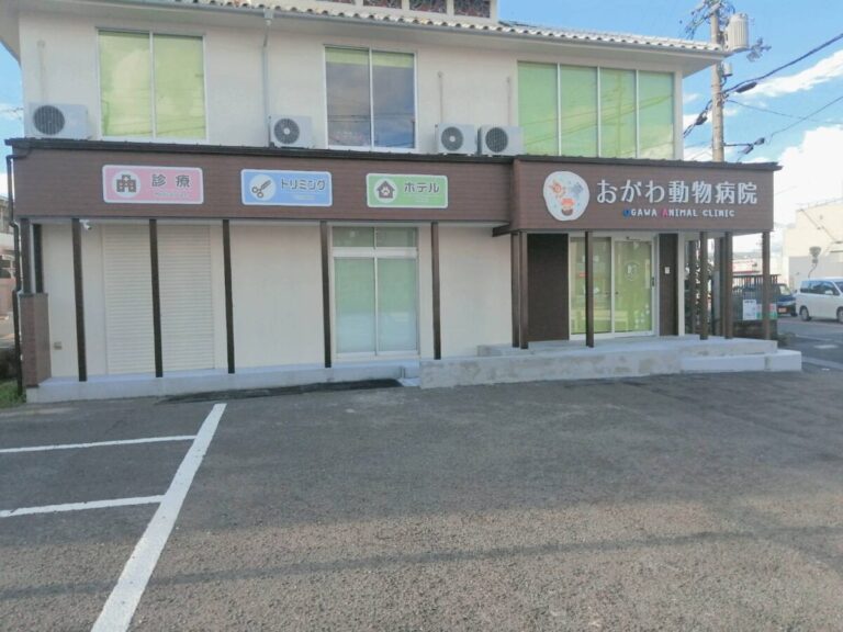 祝オープン 富田林市 大切な動物達のための地域のホームドクター おがわ動物病院 が開院されたようです さかにゅー