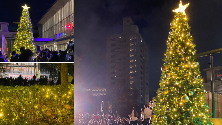 【堺・南河内のイルミネーション2021】フェニーチェ堺にてクリスマスツリー点灯式が開催されました！: