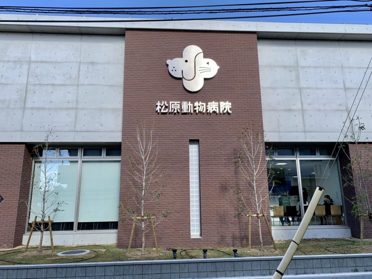【祝オープン】松原市･田井城『松原動物病院 本院』が新病院に！！第二駐車場跡地に移転オープンしています♪：