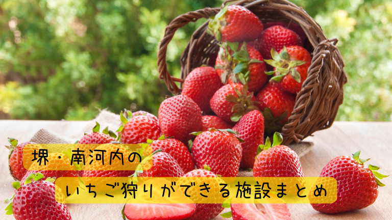 22年度保存版 堺 南河内のイチゴ狩りができる施設まとめ 個性的な農園がたくさん あなたはどこに行く さかにゅー