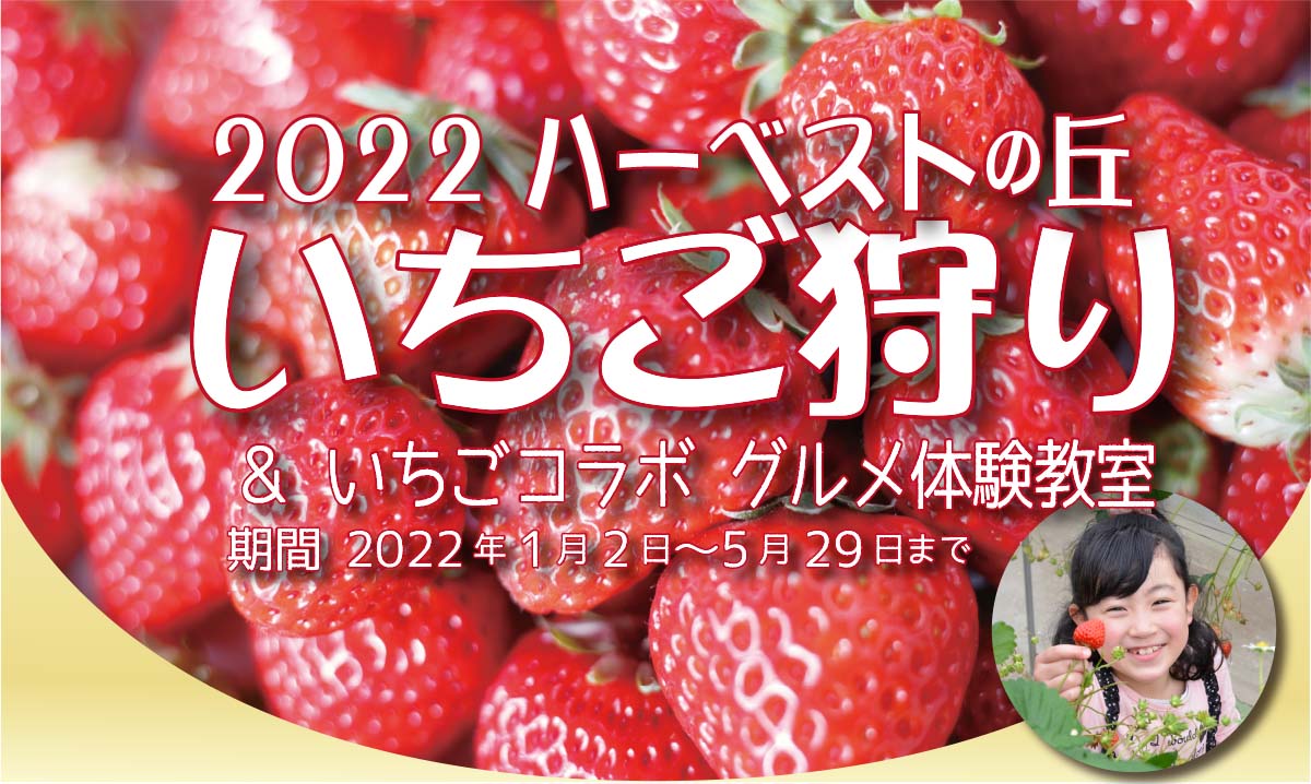 22年度保存版 堺 南河内のイチゴ狩りができる施設まとめ 個性的な農園がたくさん あなたはどこに行く さかにゅー