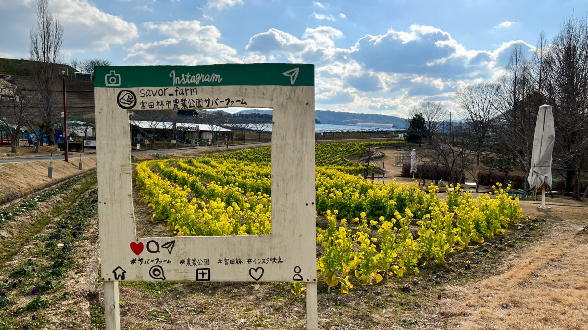 富田林市 野菜 果物 アスレチック 富田林市農業公園サバーファーム 自然と絶景に触れて癒される 堺 南河内の観光スポット さかにゅー