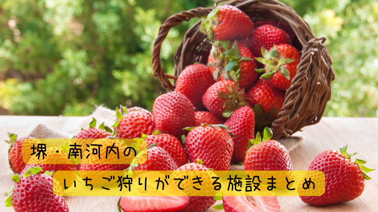 【2022年度保存版】堺・南河内のイチゴ狩りができる施設まとめ♪個性的な農園がたくさん！あなたはどこに行く？：
