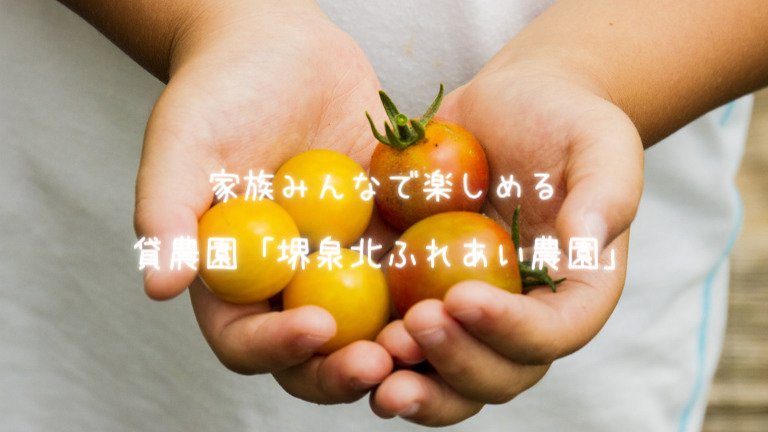 【安心安全な野菜作り】好き嫌いの多いお子さんの食育にもピッタリ♪「堺泉北ふれあい農園プラス」で”土いじり”始めませんか？【手ぶらでOK！】：