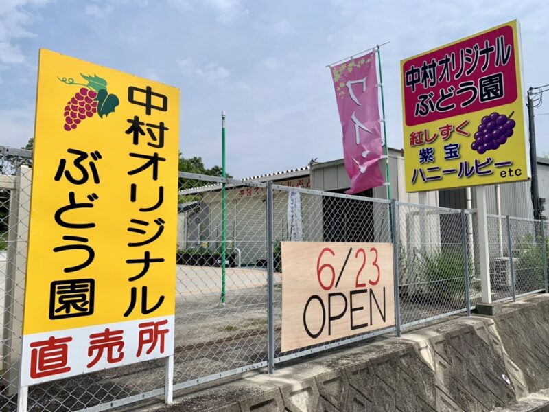 【まもなくオープン】河内長野市･新作ぶどうや希少なぶどうが買えるのは直売所ならでは！『中村オリジナルぶどう園』が今年もオープンするよ～♪：