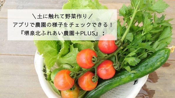 ＼土に触れて野菜作り／ アプリで農園の様子をチェックできる！『堺泉北ふれあい農園＋PLUS』：
