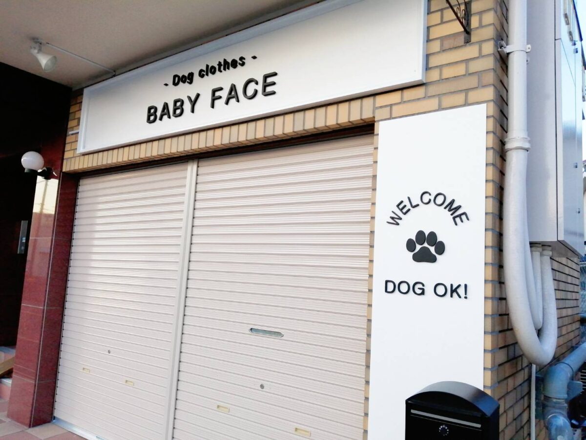 【新店情報】堺市東区・犬のお洋服と雑貨のお店『BABY FACE』がオープンされるみたい♪：