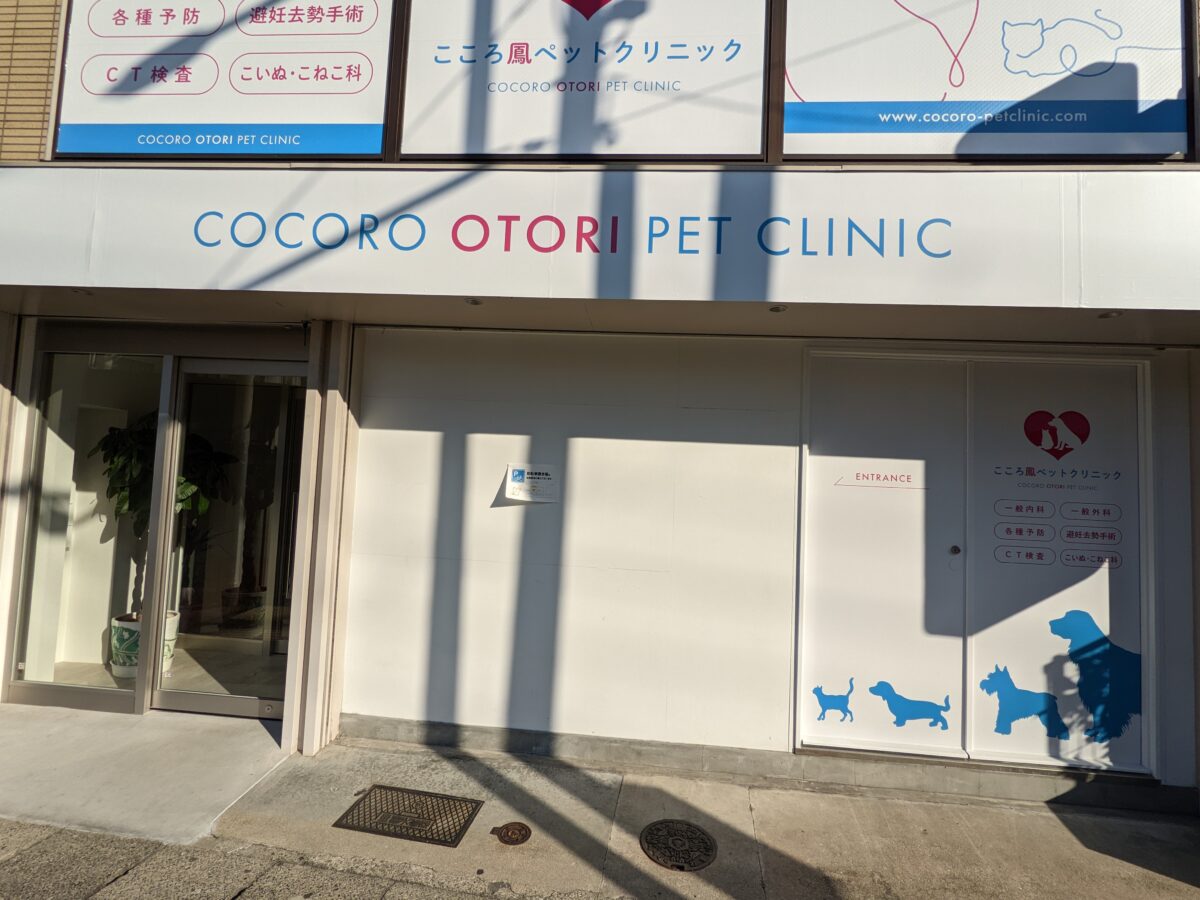 【祝オープン】堺市西区・堺市立西図書館の前に動物病院『こころ鳳ペットクリニック』が開院しました！：
