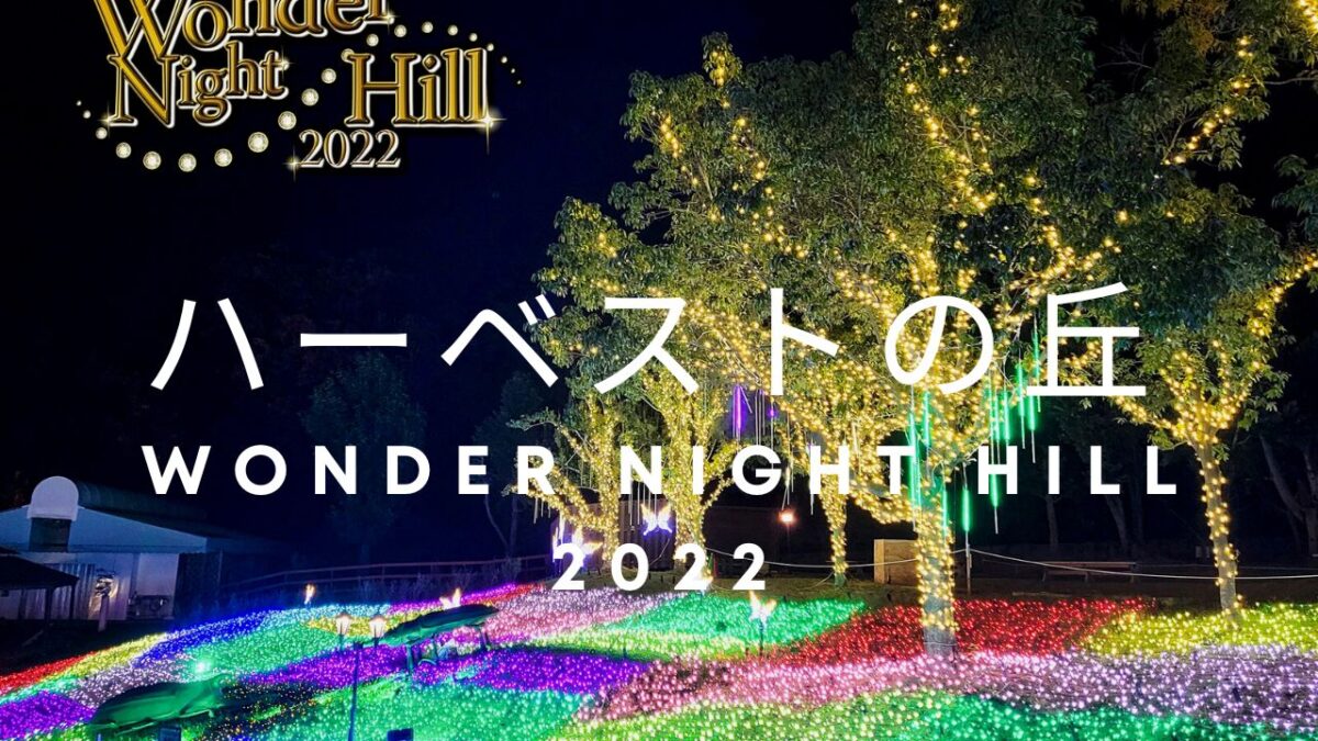 【堺・南河内のイルミネーション２０２２】\絵本のような世界/ハーベストの丘で約100万球のイルミネーションが輝く☆「Wonder Night Hill 2022」が開催されます：