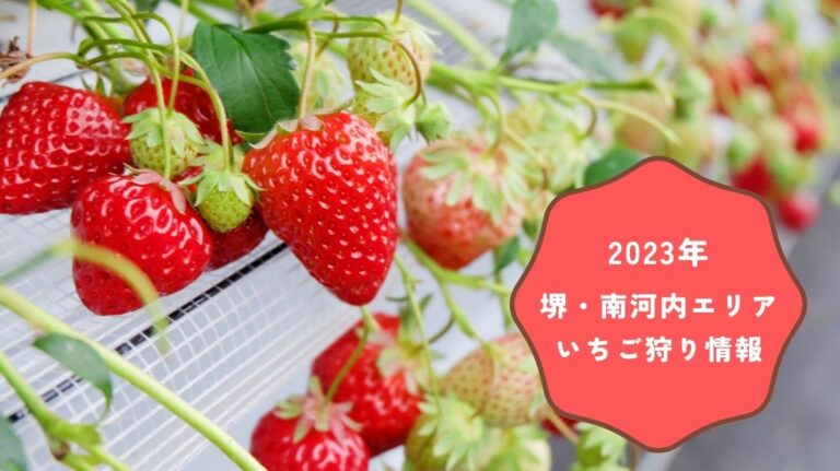 2023年版】堺・南河内エリアのいちご狩り！予約必須のところは要