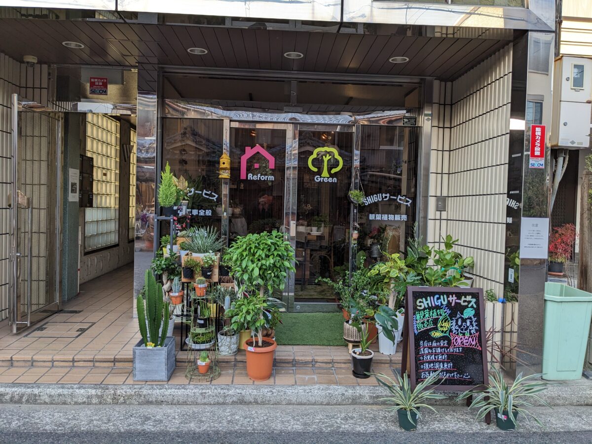 【祝オープン】堺市堺区・お花のワークショップも開催☆京町通に『SHIGUサービス観葉植物販売店』がオープンしています！：