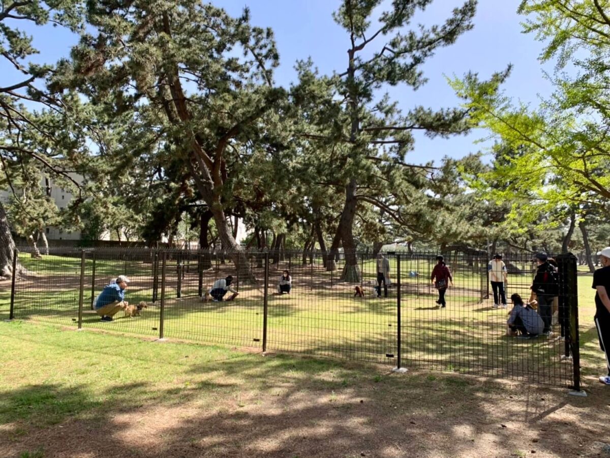 【トピックス】堺市西区･ワンちゃん連れさんに朗報！浜寺公園に利用料無料の『ドッグラン』が開設されています！！：