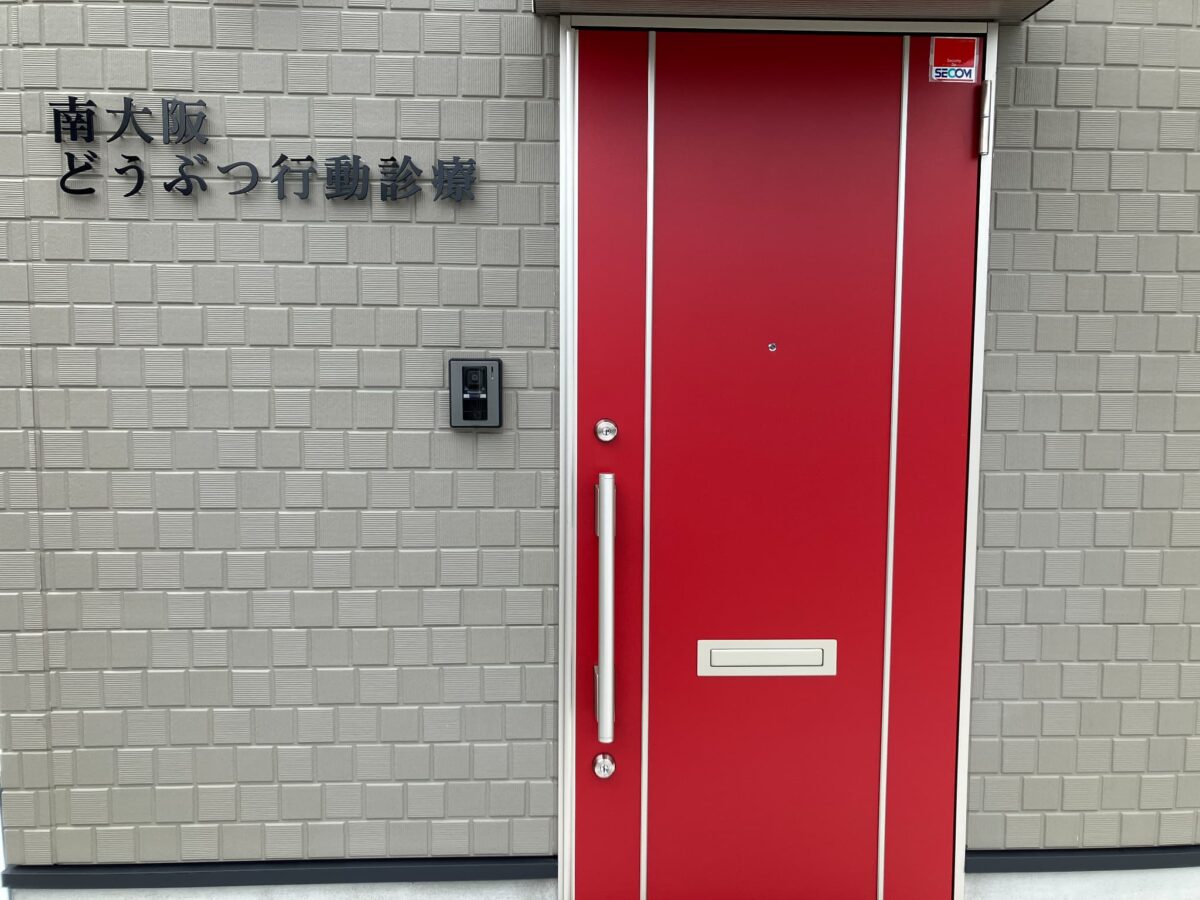 【祝オープン】富田林市＊旧外環状線沿い＊子犬・子猫やシニアの問題行動を専門に扱う動物病院が開院されました！！：