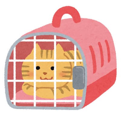 【イベント】河内長野市＊新しい家族を探しています！８/２７(日)に「猫の譲渡会in花の文化園」が開催されますよ～！：