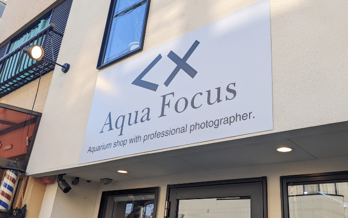 【祝オープン】百舌鳥八幡の駅近くに熱帯魚のお店『Aqua Focus(アクアフォーカス)』がOPENしました。綺麗な熱帯魚に癒されますよ♪：