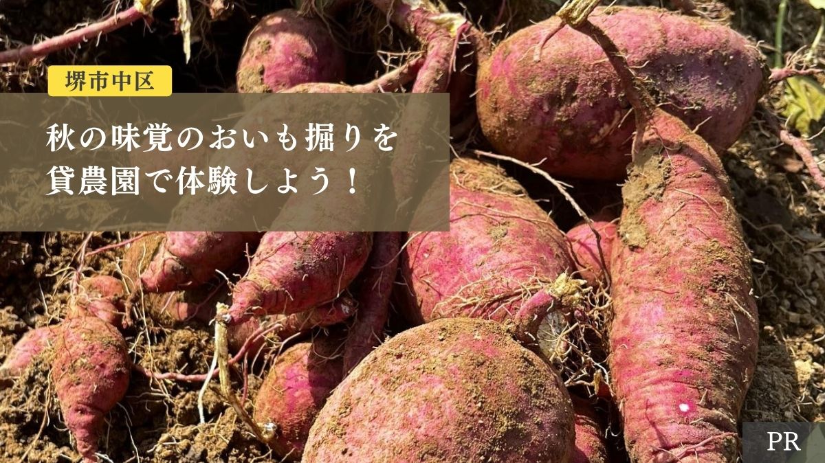 【イベント】堺市中区・10/28(土),11/3(金・祝)に貸農園で芋掘りを開催！秋の味覚をゲットしちゃおう♪：
