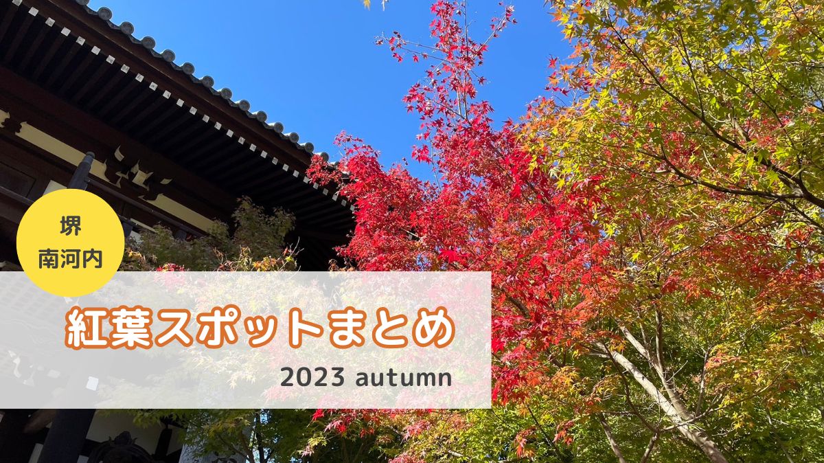 【2023秋のおでかけ】紅葉見に行こうよ♪堺・南河内エリアのスポットまとめましたよ！※11/16スポット追加：