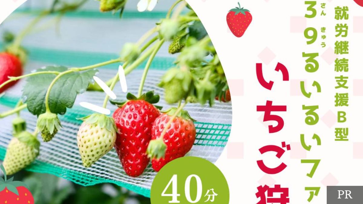 【トピックス】堺市西区で40分食べ放題のいちご狩り♡『39るいるいファーム』がオープンしています！：