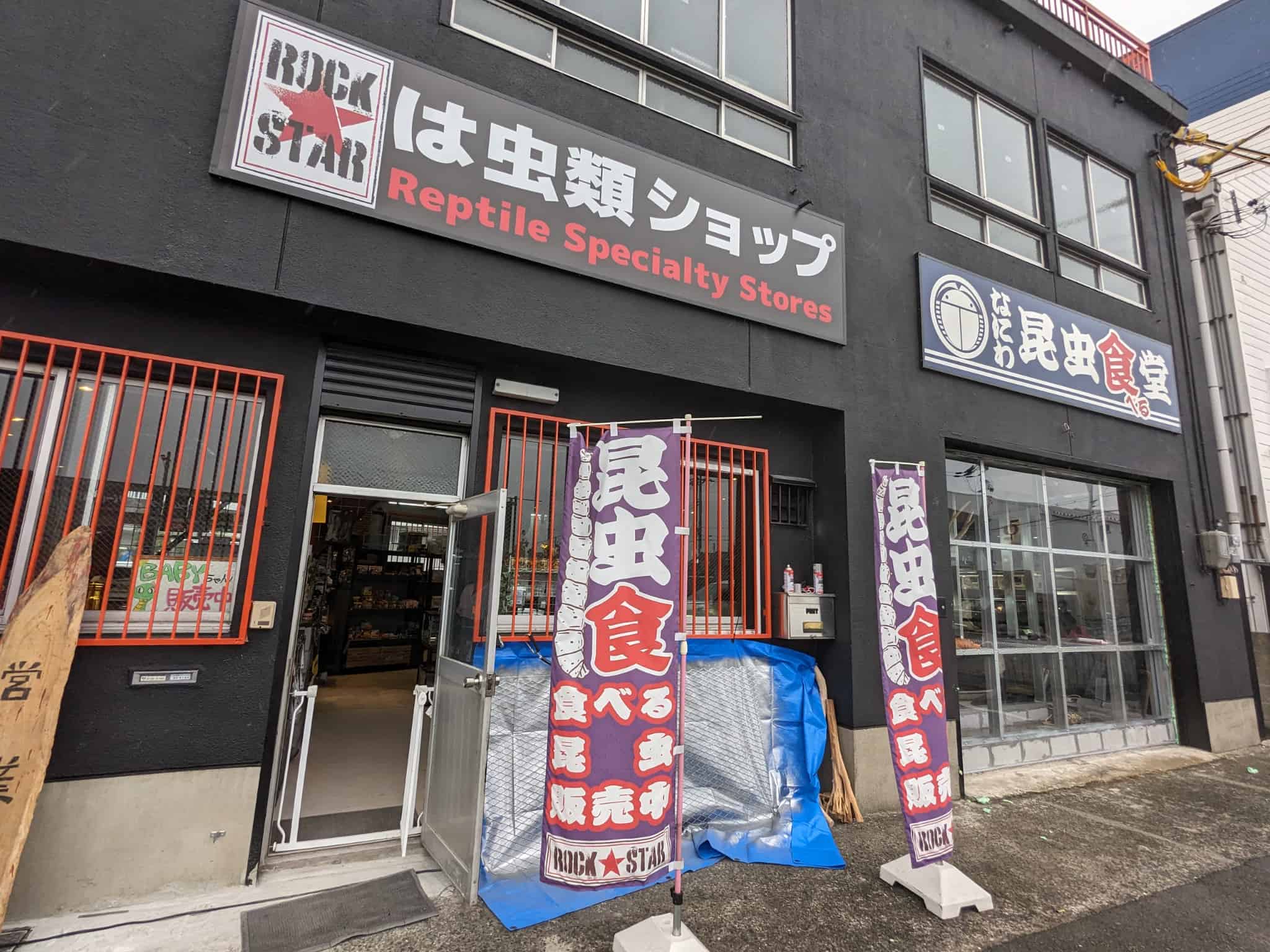 【祝オープン】堺市美原区・ららぽーと堺の目の前に爬虫類ショップ『爬虫類カフェロックスター堺店』がオープンしています！：