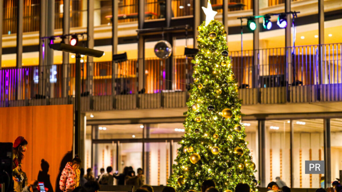 フェニーチェ堺のイルミネーションは11/23～12/27まで！11/23にはクリスマスツリー点灯式もあるよ：