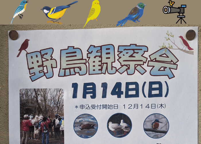 【イベント】募集が開始されます☆大泉緑地でイベント「野鳥の観察会」が開催されます♪冬の公園で見られる野鳥を見に行ってみよう！：