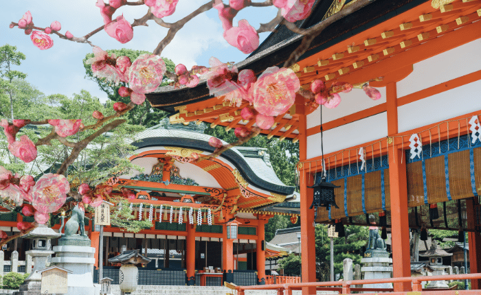 【イベント】立春が過ぎましたね♪暦の上では春☆梅が咲きはじめました、道明寺天満宮で「梅まつり」がはじまりますよ～：