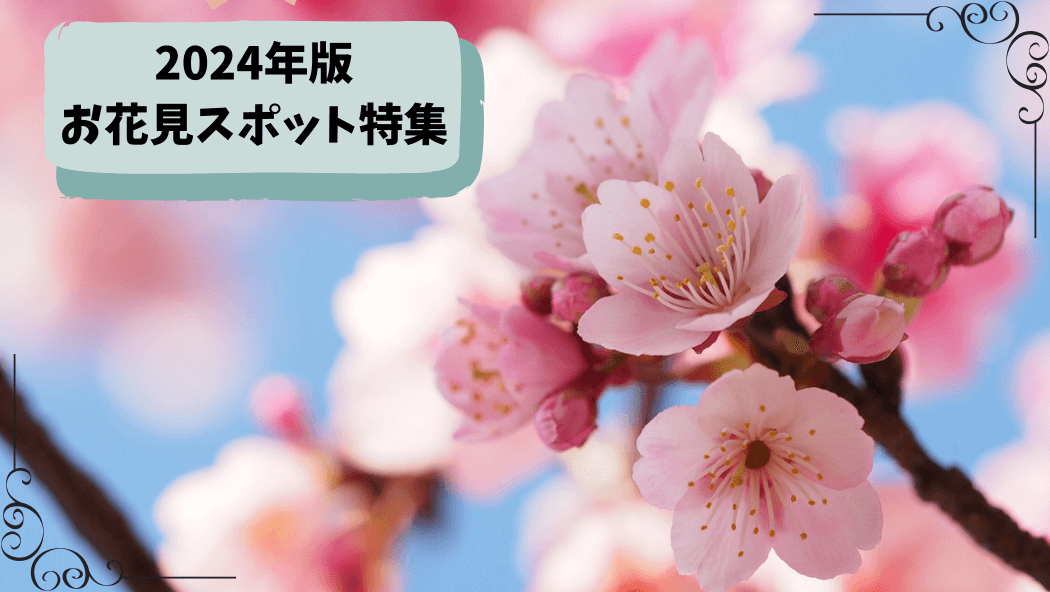 【2024年版お花見情報】堺・南河内の桜の名所！あなたはどこでお花見する？※追記あり：