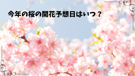 【トピックス】桜の開花予想は3月27日！？堺市の開花は？：