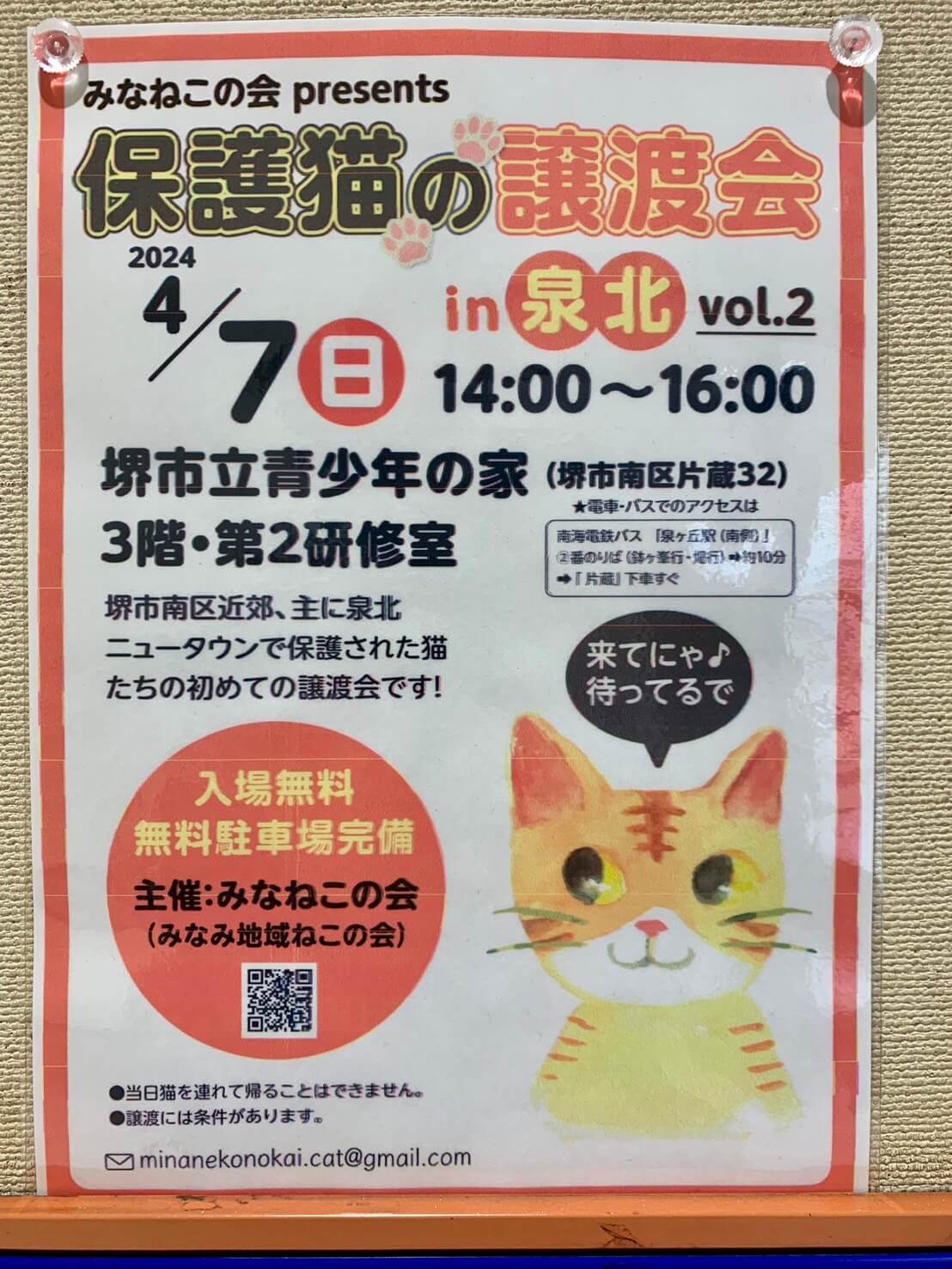 【イベント】2024.4/7(日)開催★堺市南区･片蔵で『保護猫の譲渡会』が開催されます♪＠堺市立青少年の家：