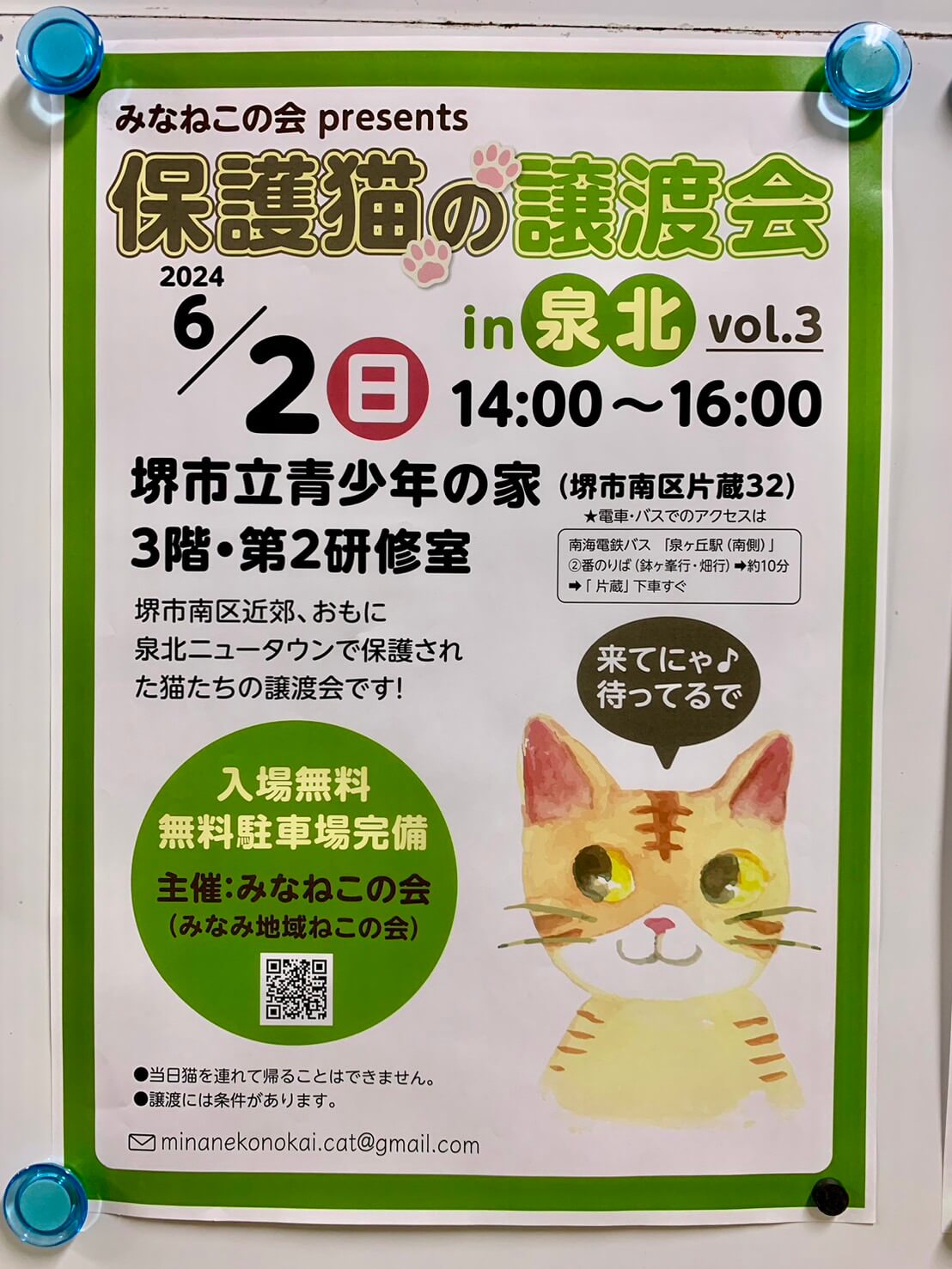 【イベント】2024.6/2(日)開催★堺市南区･片蔵で『保護猫の譲渡会』が開催されます♪＠堺市立青少年の家：