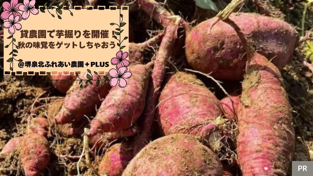 【イベント】堺市中区・10/12(土),10/19(土),10/20(日)に貸農園で芋掘りを開催！秋の味覚をゲットしちゃおう♪