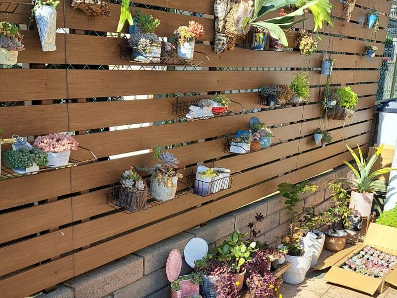 新店舗 Succulent cafe-縁-