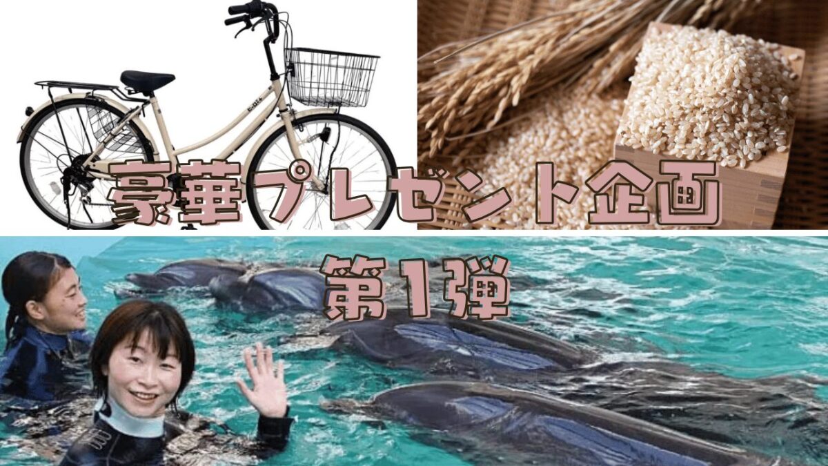 【総力祭】紙面からWEBへ！！豪華プレゼント企画第1弾★自転車やイルカ体験、お米が当たる！