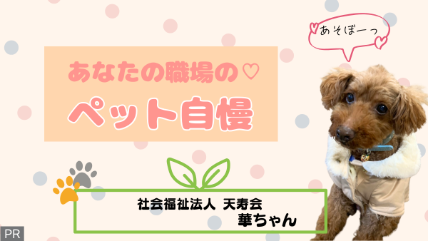 【あなたの職場のペット自慢♡】みんなのアイドル華ちゃん♪@社会福祉法人天寿会