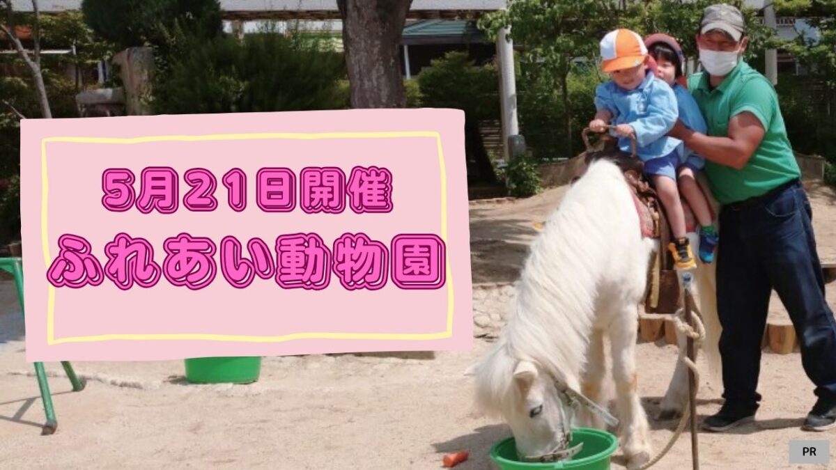 園庭にポニーがやってくる！？ 入園前の無料体験会「ふれあい動物園」開催！『学校法人葵学園 認定こども園 あおい幼稚園』へ遊びに行こう♪
